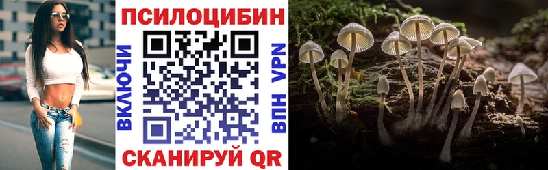 Псилоцибиновые грибы мухоморы  Дмитриев 